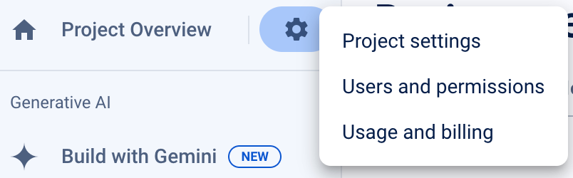 Firebase Project Settings