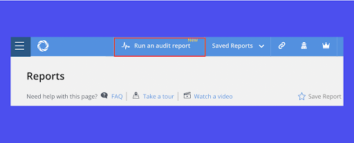 auditreport.png